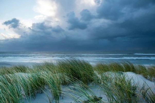 The Honest Story of Climate Change: Part 2: With a new course towards a hopeful future - Vimarsana News