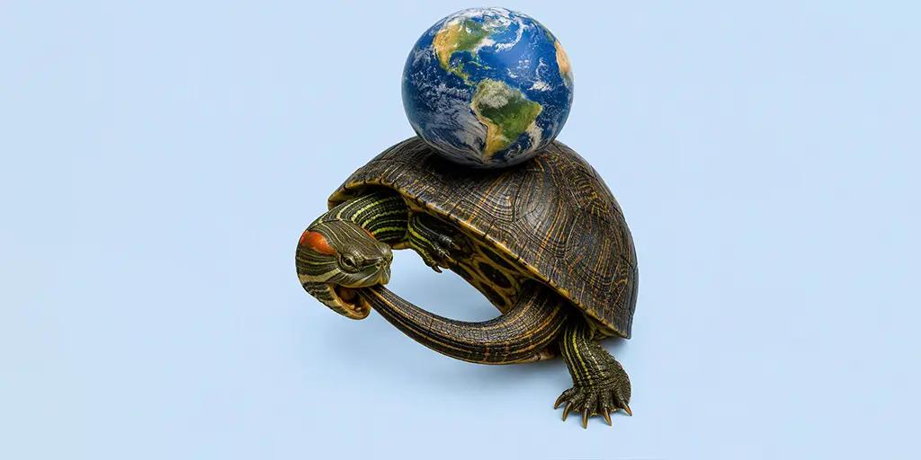 CircularTurtle