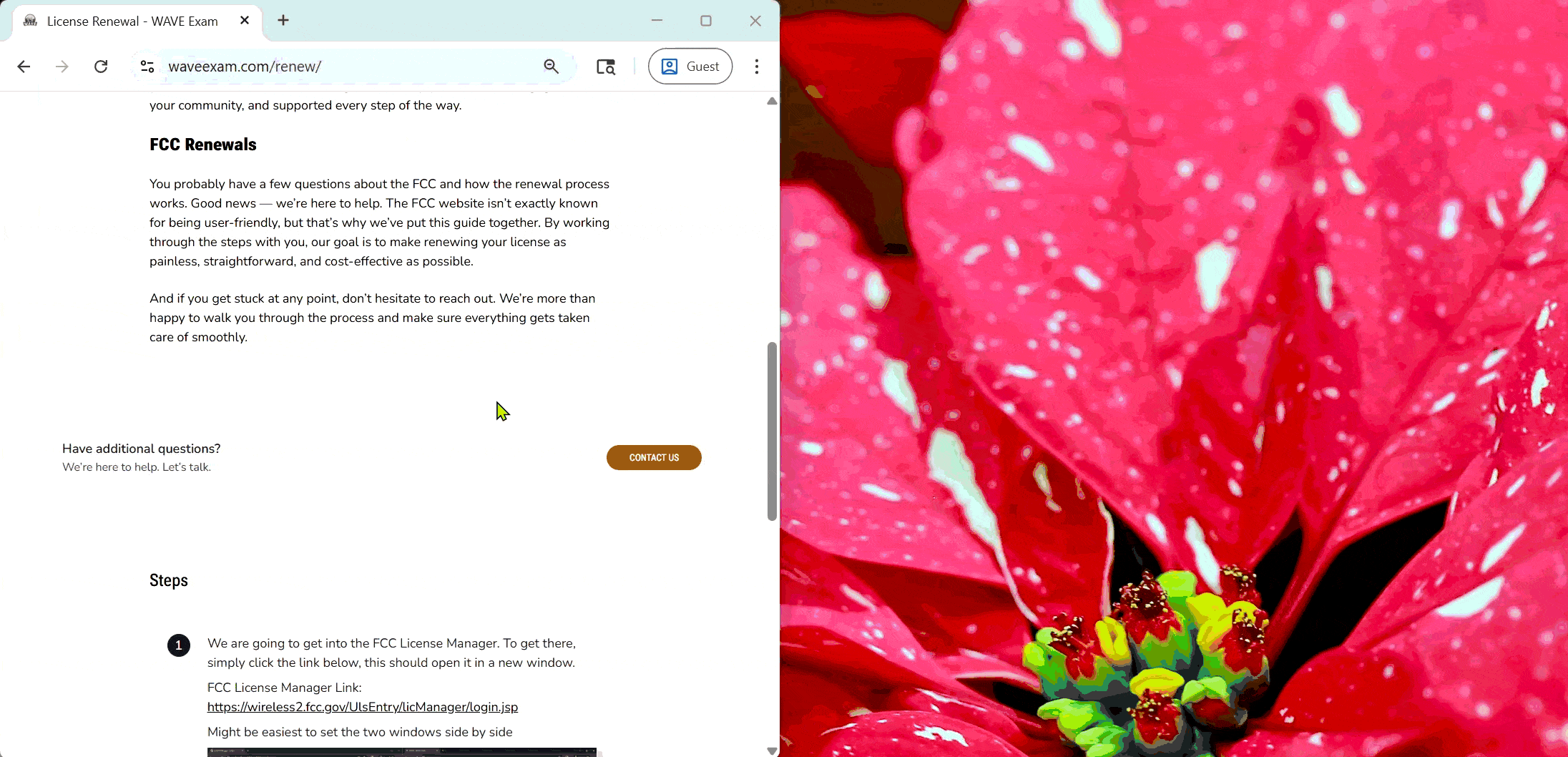 GIF of how to separate tabs into a two separate windows to run side by side. 