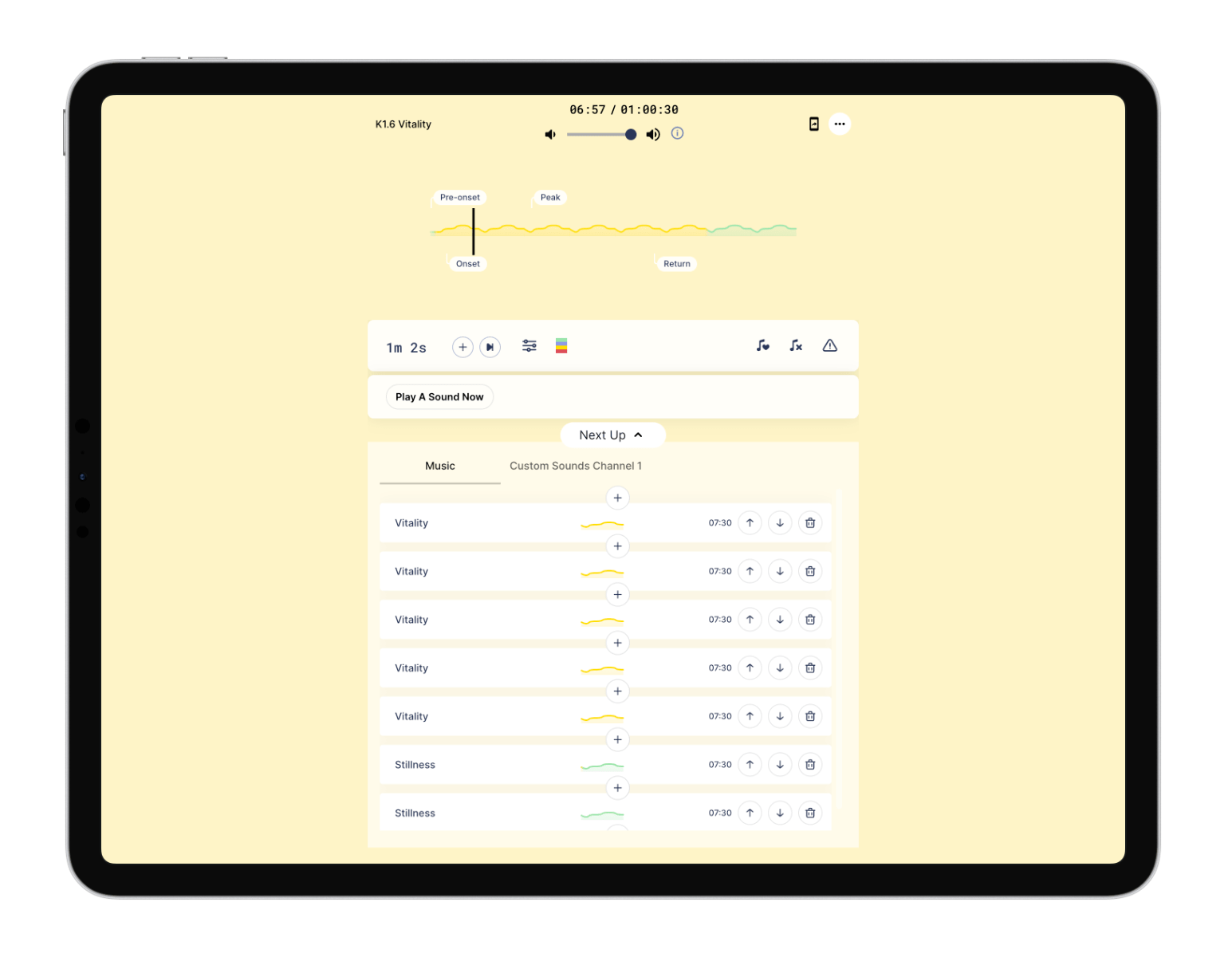 Therapeutic Functions