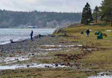 Point Pleasant Park – Storm Damage September 1 2022