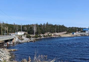 Budget 2023, property tax relief, Public Gardens fire, more
