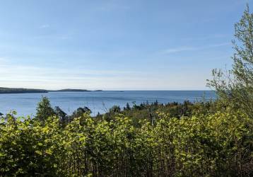 District Update – Wildfires, Square Roots launches in Halifax South, Participatory Budgeting rescheduled, more