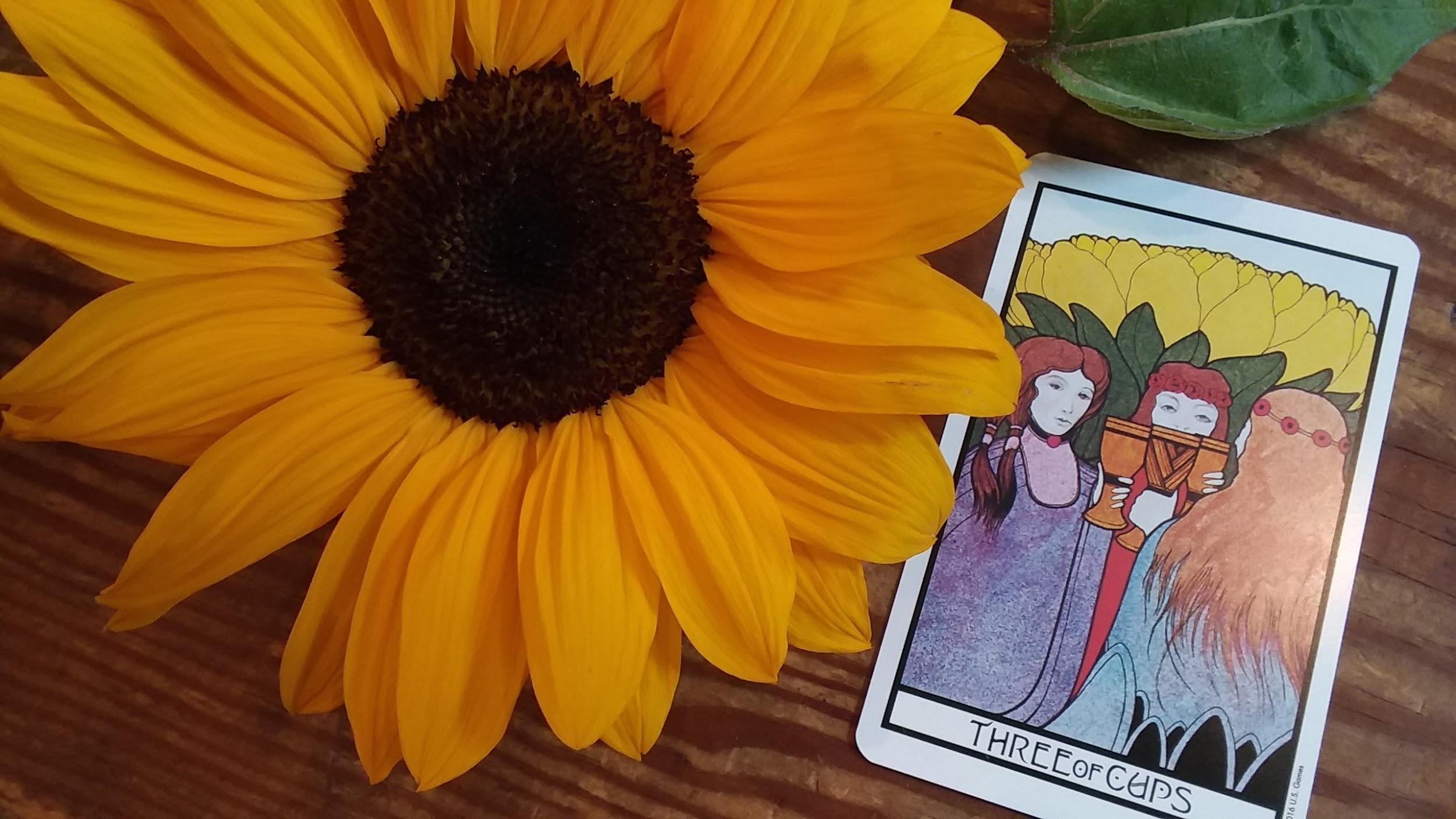 three of cups tarot card with sunflower