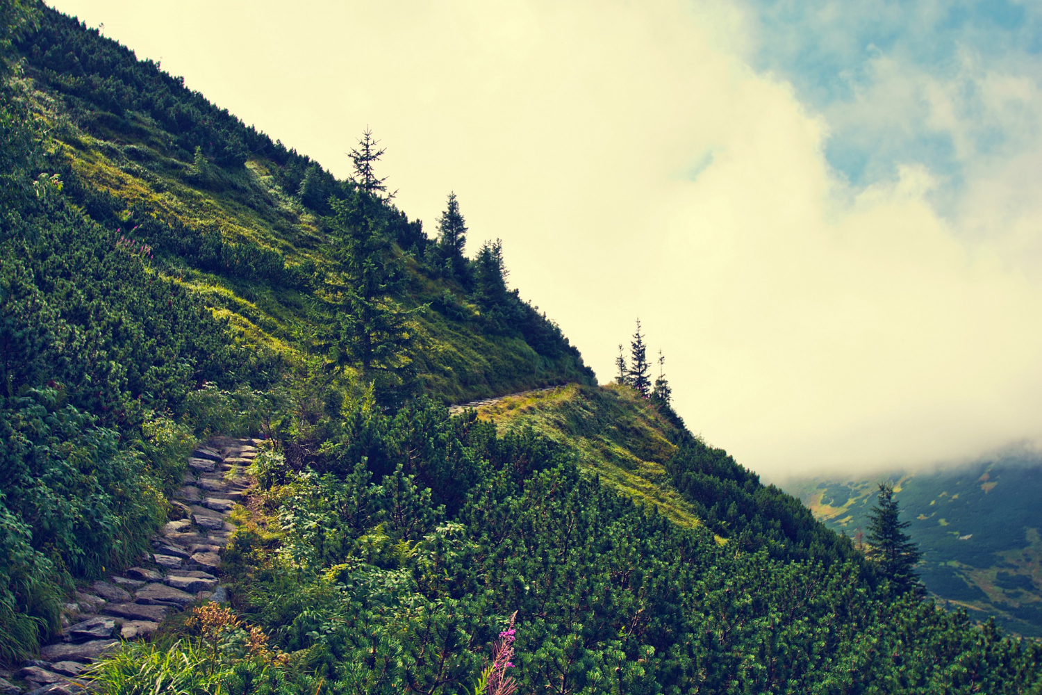 Top 10 Hill Stations in South India You Must Visit