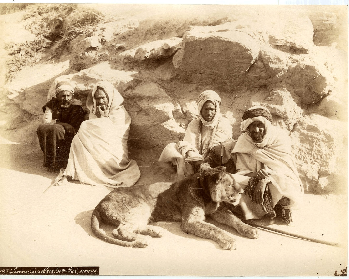 Algeria tribesmen