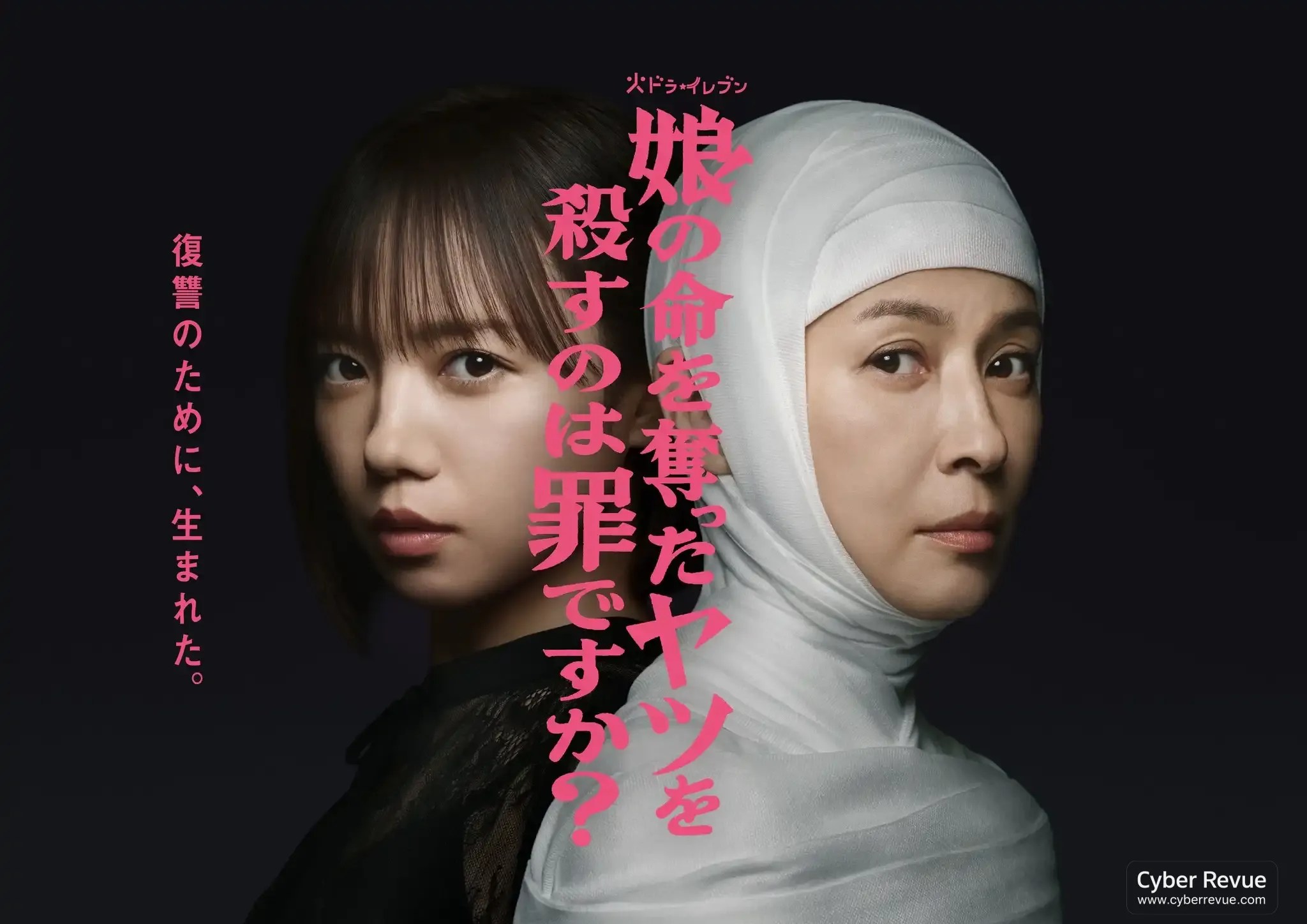 日劇《殺了害死女兒的人，這樣的我有罪嗎？》分集劇情與演員陣容