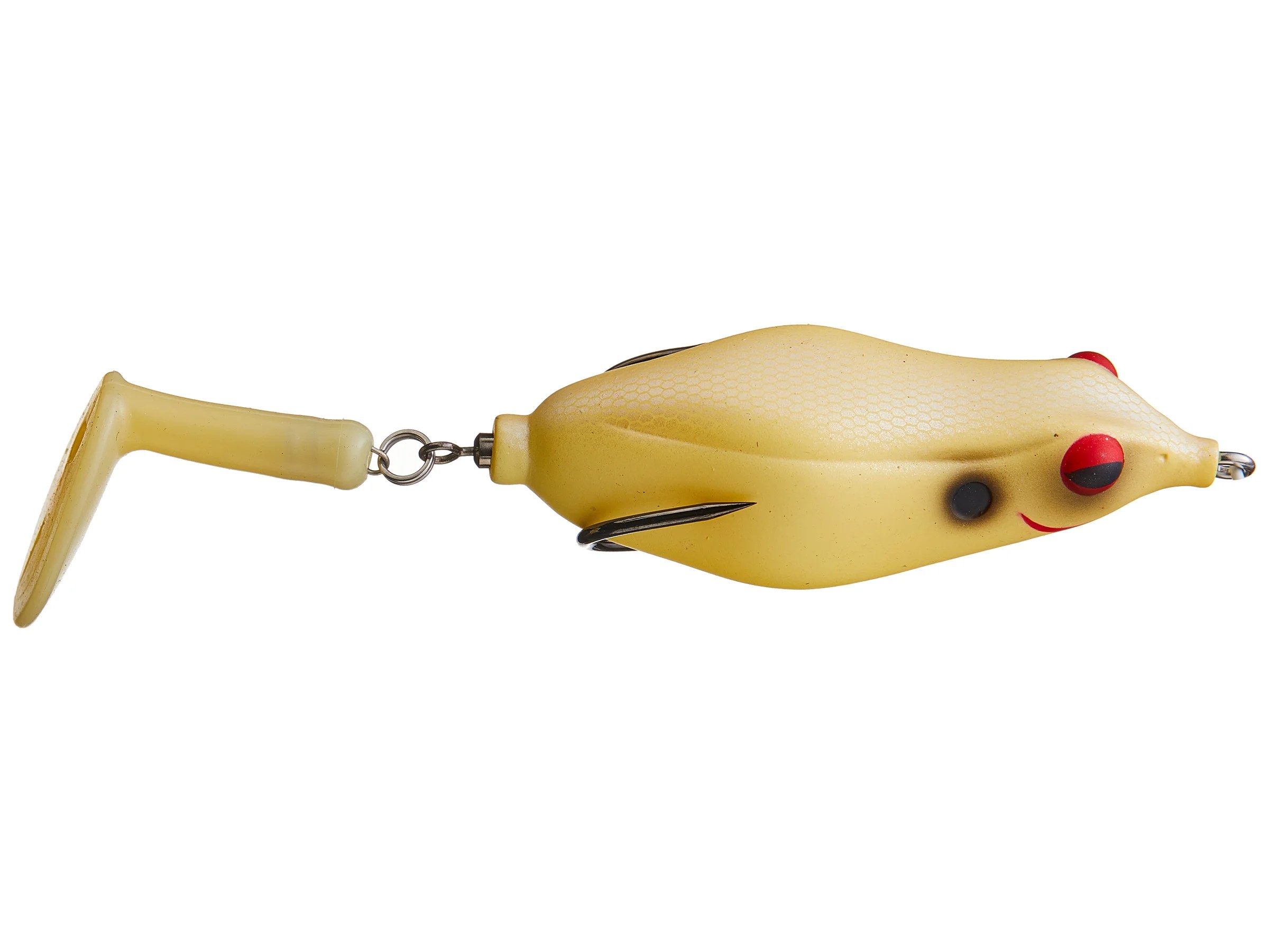7 fish gaff hook Amazon.com : Jnrtifow Fishing Harpoon 7 Prong Stainless Steel Fishing Gig Gaff  Hook with 8mm Screw : Sports & Outdoors