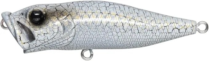 Megabass Pop-X Topwater - Waypoint Angler Supply