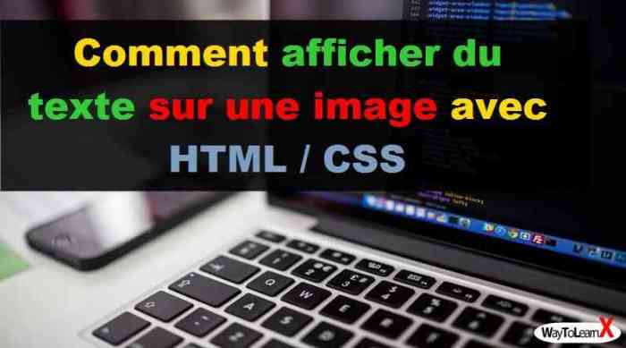Css waytolearnx développement Comment Mettre Du Texte A Coté D'Une Image En Html