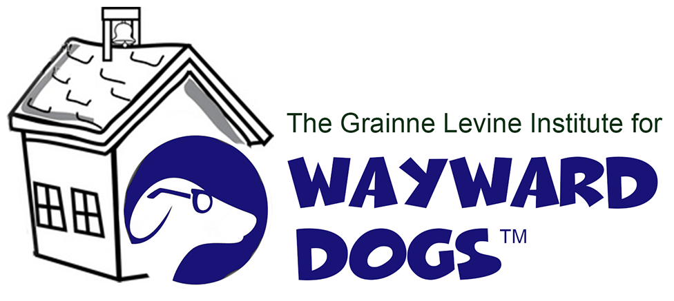 Wayward Dogs Training