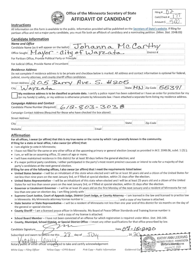 Wayzata City Council Member Johanna McCarthy Running For Mayor