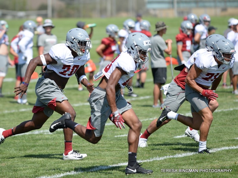 WSU Spring Practice - Photo by Teresa Bingman