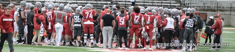 WSU Spring Game - Photo by Teresa Bingman