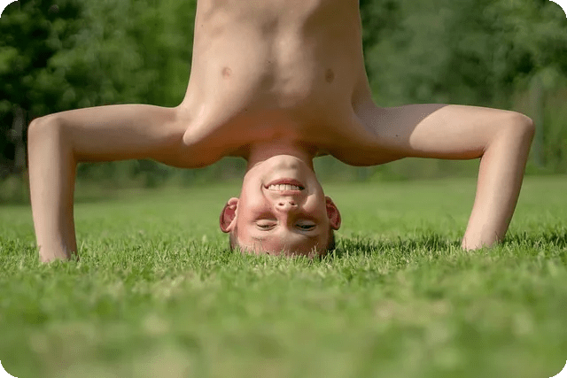 TIPSTER의 세계 왜 주목해야 할까