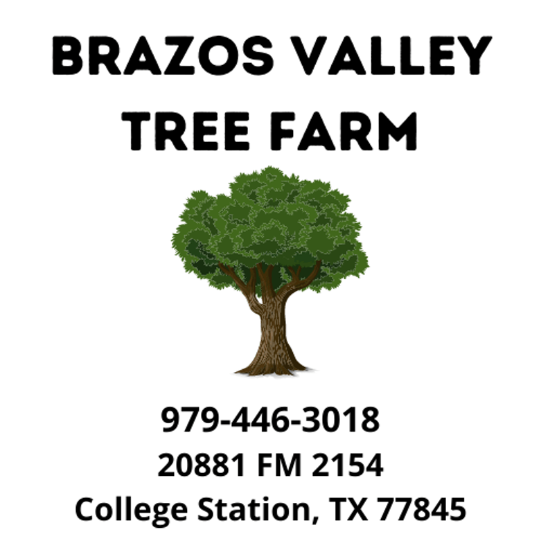 Tree Logo