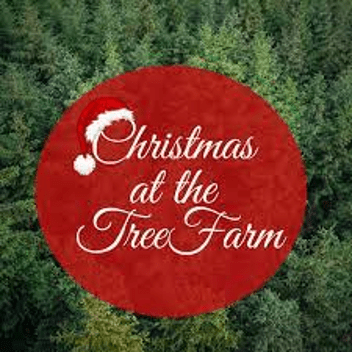 Christmas-Tree-Farm