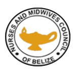 The Nurses and Midwives Council of Belize