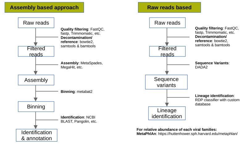 Github Strong Lab Viral Classification In Metagenomics This - Creative High Resolution Dark Images | Free Download