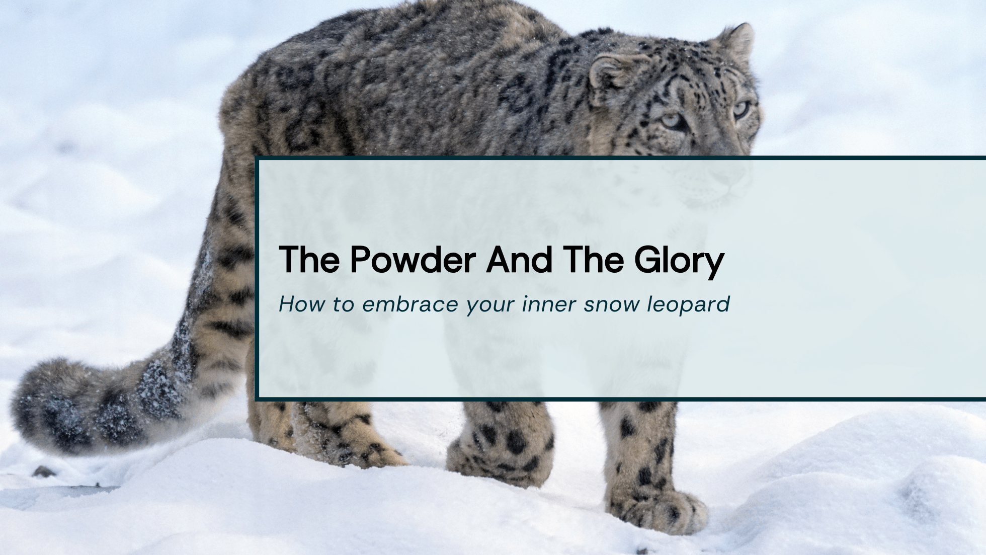 Running In The Snow Title Image