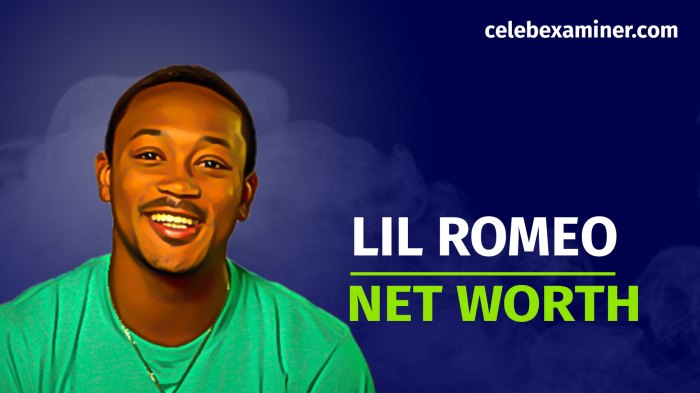 Lil Romeo Net Worth - Wealth Rector