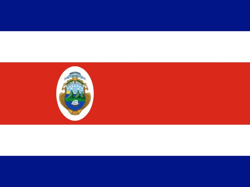 Flag of International