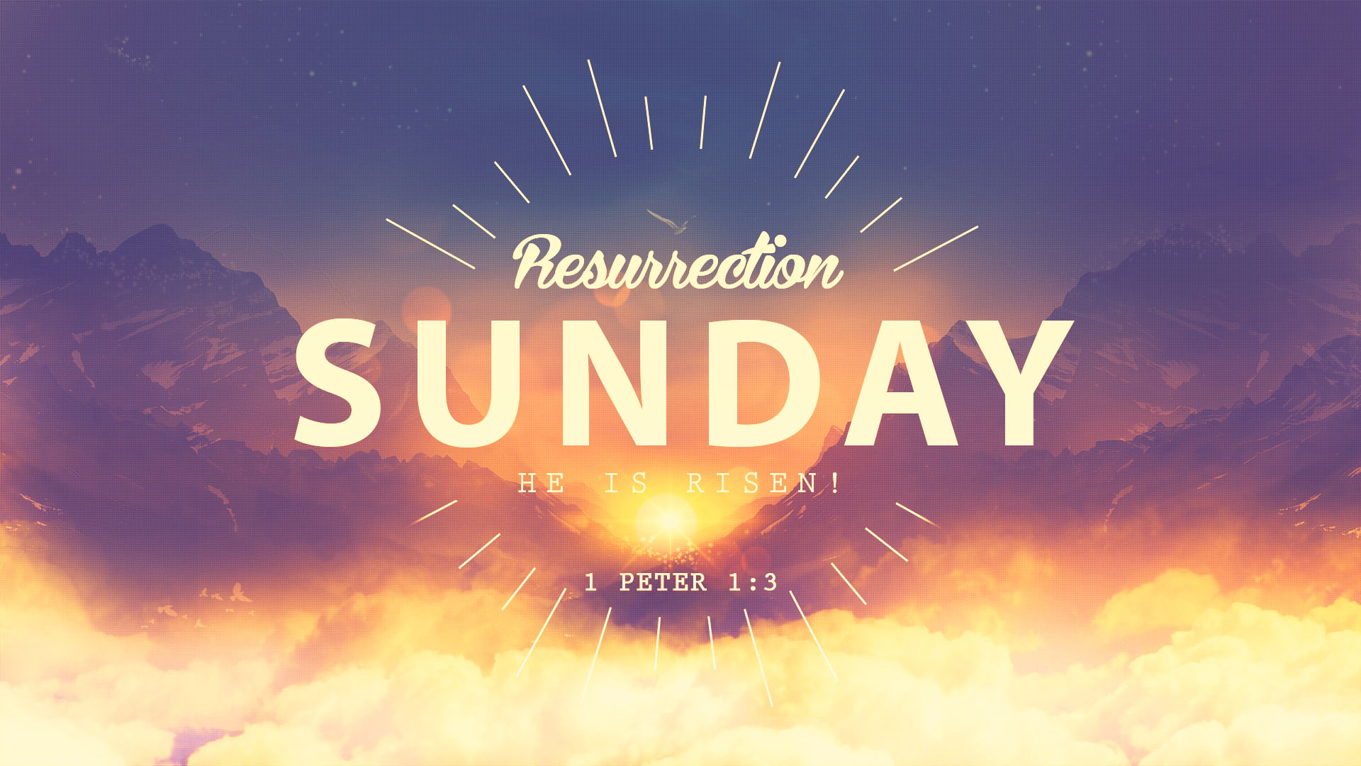 We are the cityline church