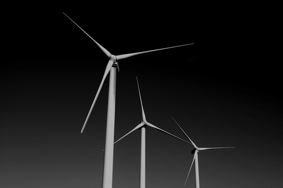 Future of Sustainability: Trends to Watch