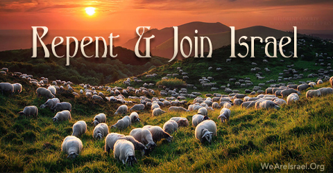 Repent, Join Israel, Ger, Become a Ger, Become Israel, Repentance, True Repentance