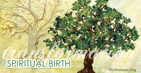 spiritual birth, transformation, born again