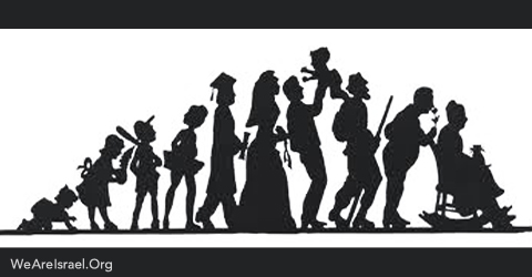 widows and orphans