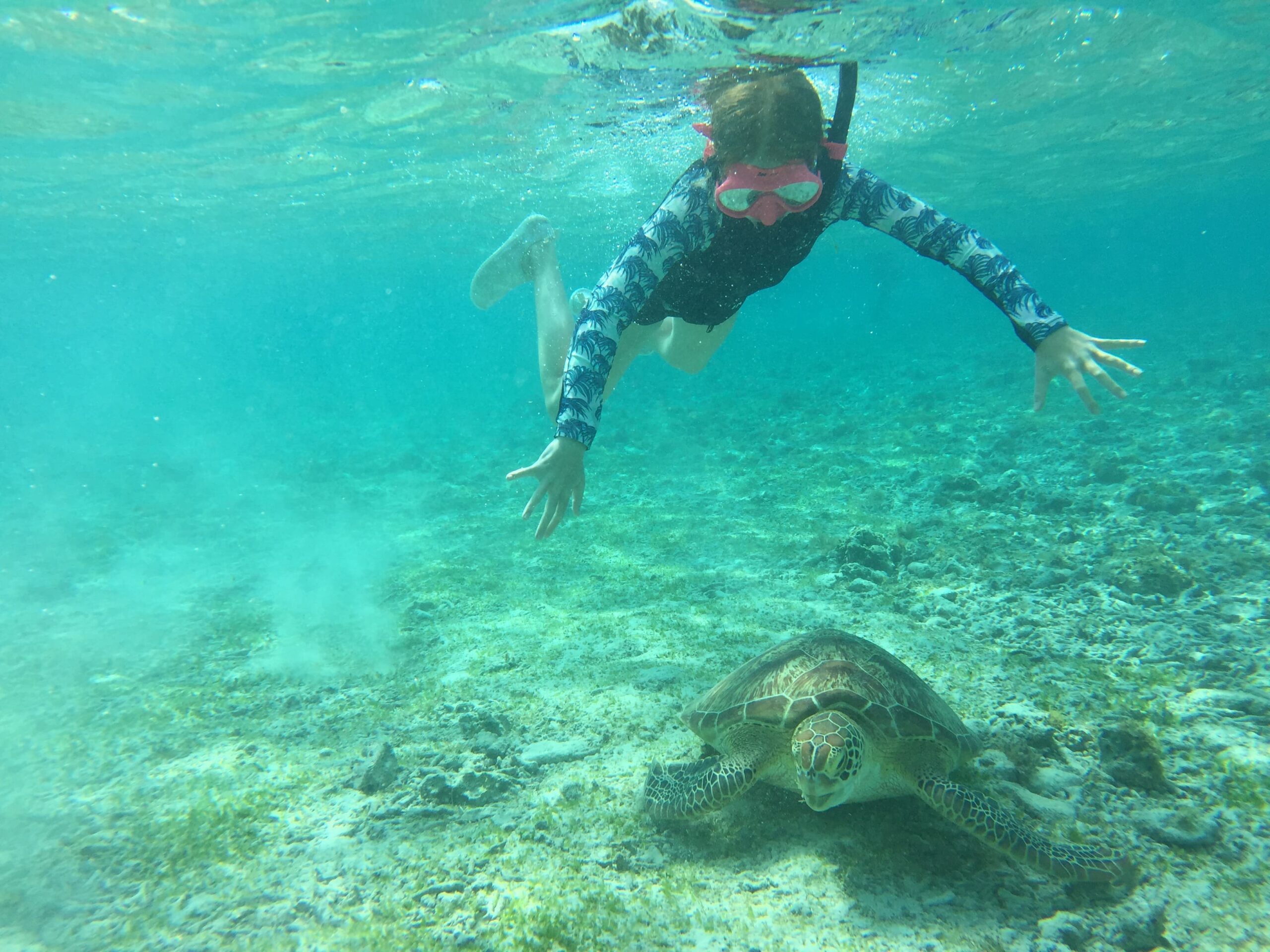Snorkeling with turtles in the Gili islands