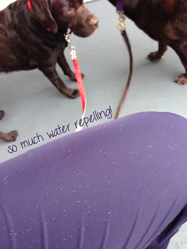lululemon dog runner