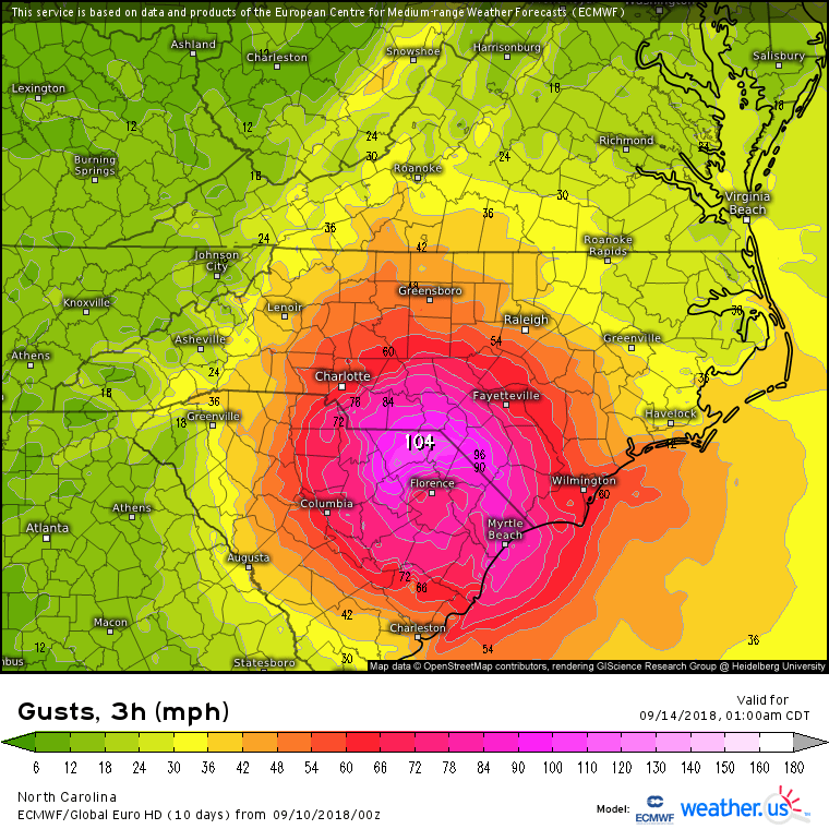 ECMWF Wind Gusts