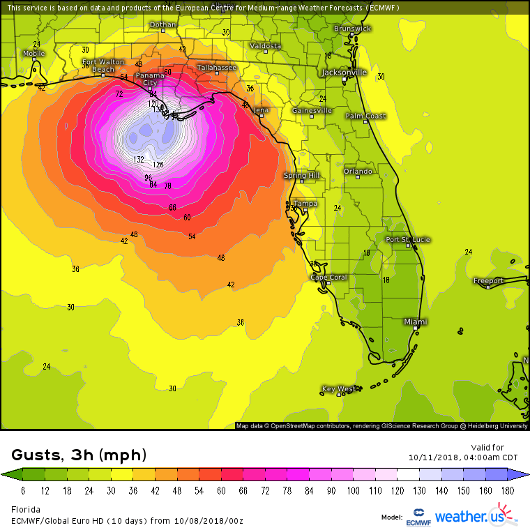 ECMWF Wind Gusts