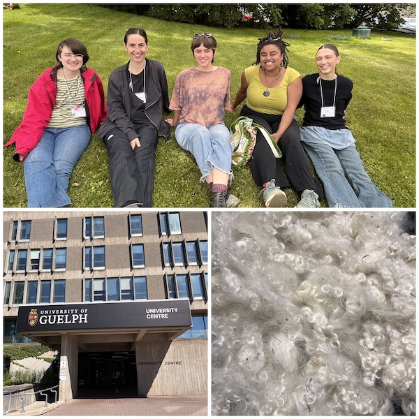 Five people sit on grass; below are photos of the University of Guelphs University Centre building and a close-up of fluffy wool fibers.