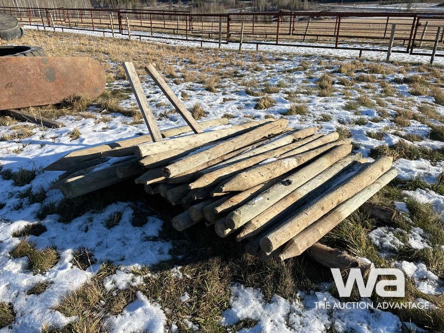 Qty of wood fence post