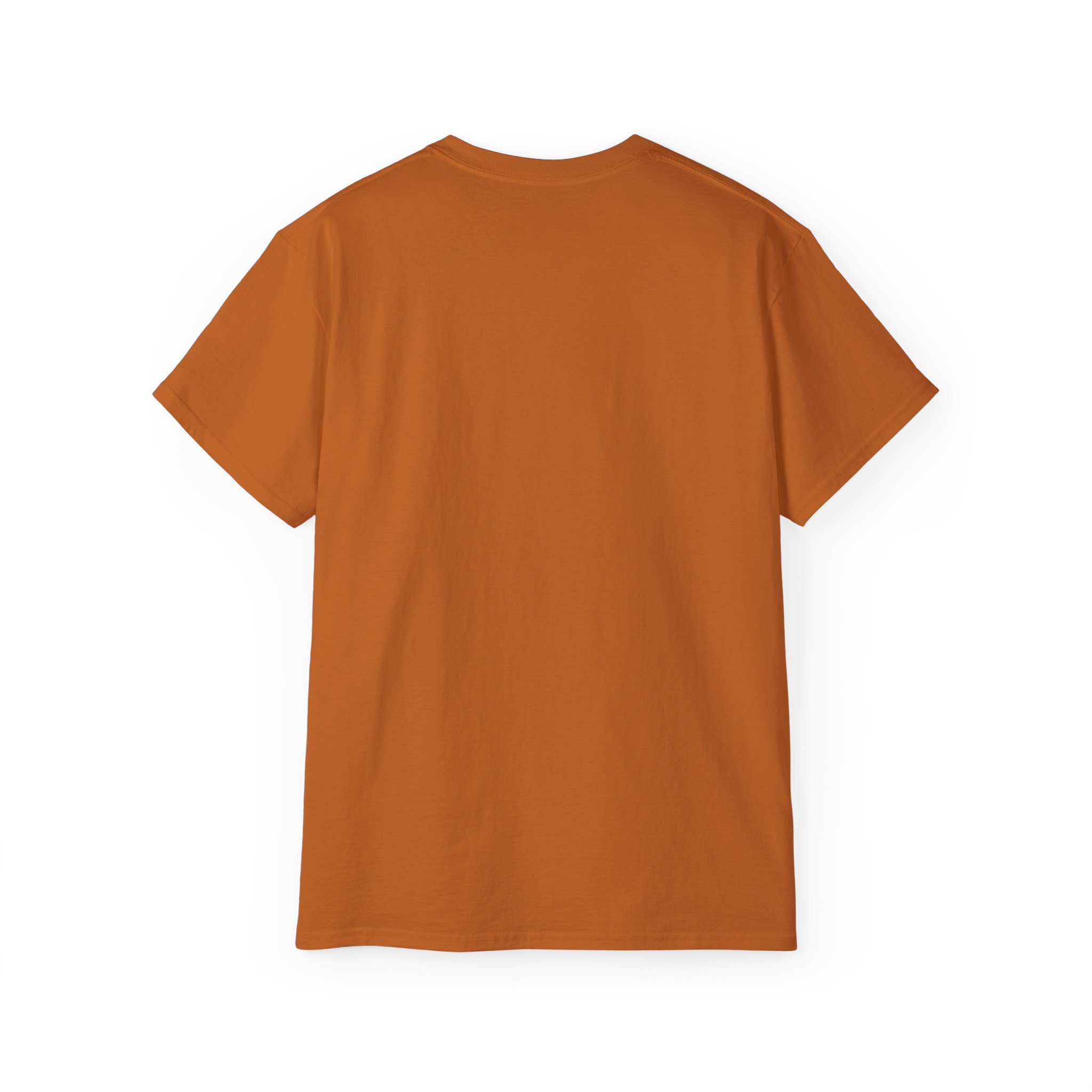 WOMENS - Pug Travel Tee — "Have Paws, Will Travel" Dog Lover T‑Shirt