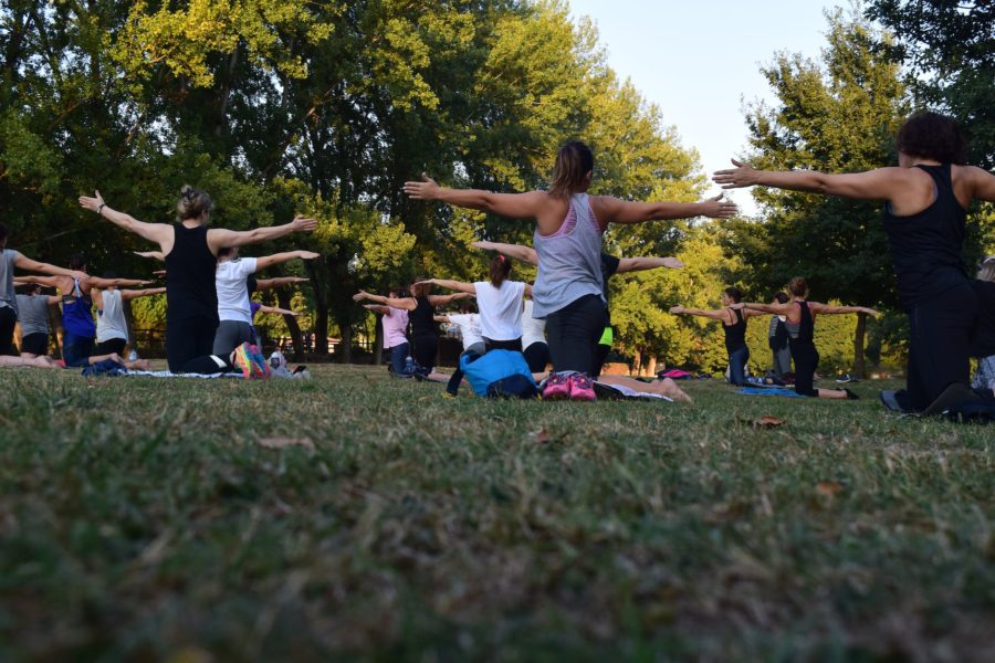 The Most Popular Hobbies in The UK - pic: women performing yoga on green grass near trees