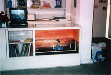 Kerstin Drechsler Vitrine
