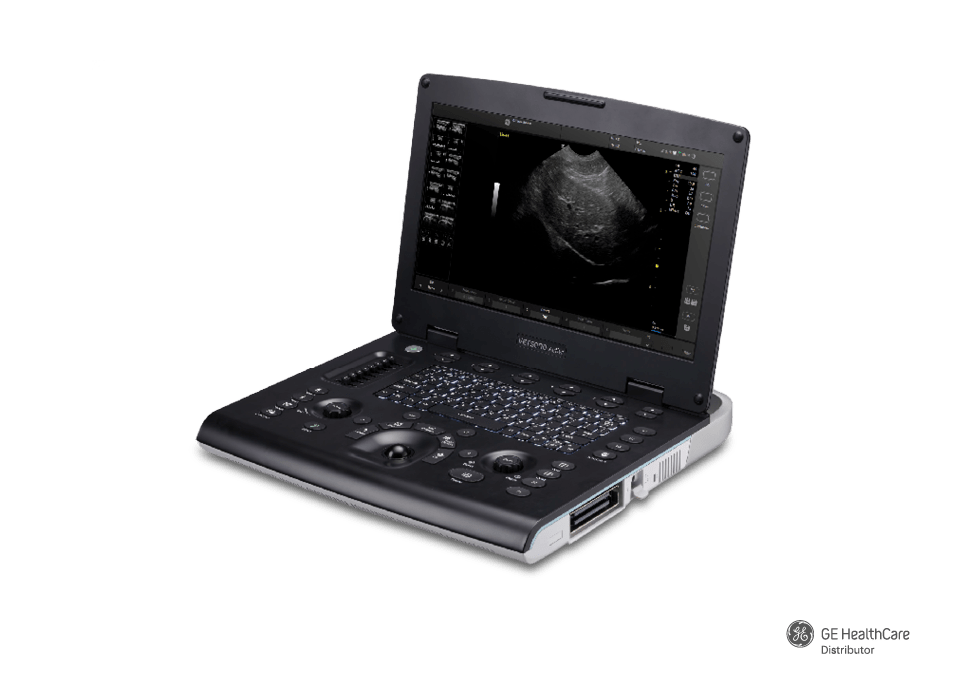 Antech Equine Diagnostics - Best Dark Illustrations in Retina