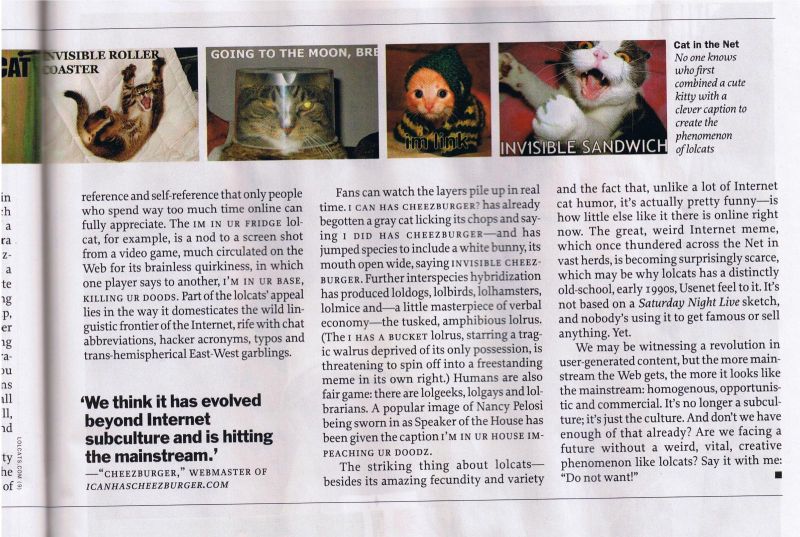 Lolcat Wikipedia - Amazing Mobile Minimal Textures | Free Download