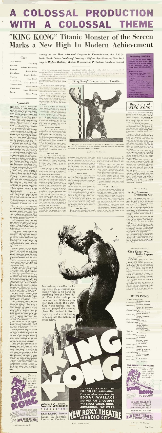 King Kong Wikipedia - Download Amazing Colorful Illustration | Ultra HD