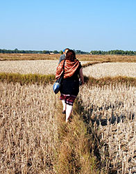 Teaching Resources Bridget Welsh - Light Images - Professional 8K Collection