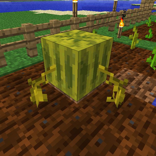 Melon Slice Official Minecraft Wiki - Best Space Designs in 8K