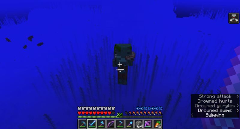 Talk Drowned Minecraft Wiki - Best Landscape Wallpapers in 8K