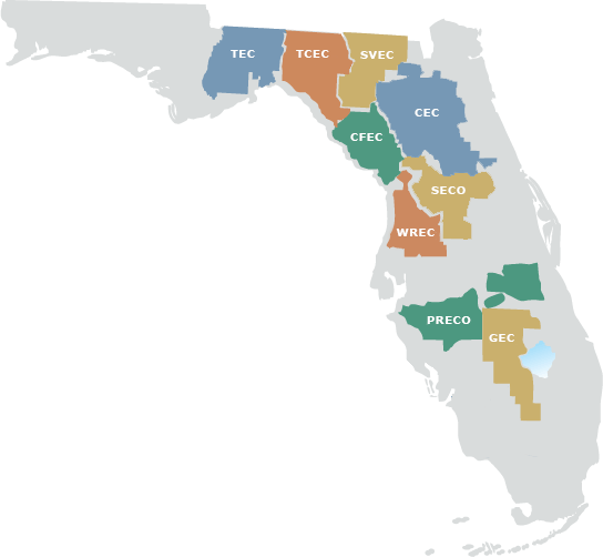 Members Seminole Electric Coop Map Nine.