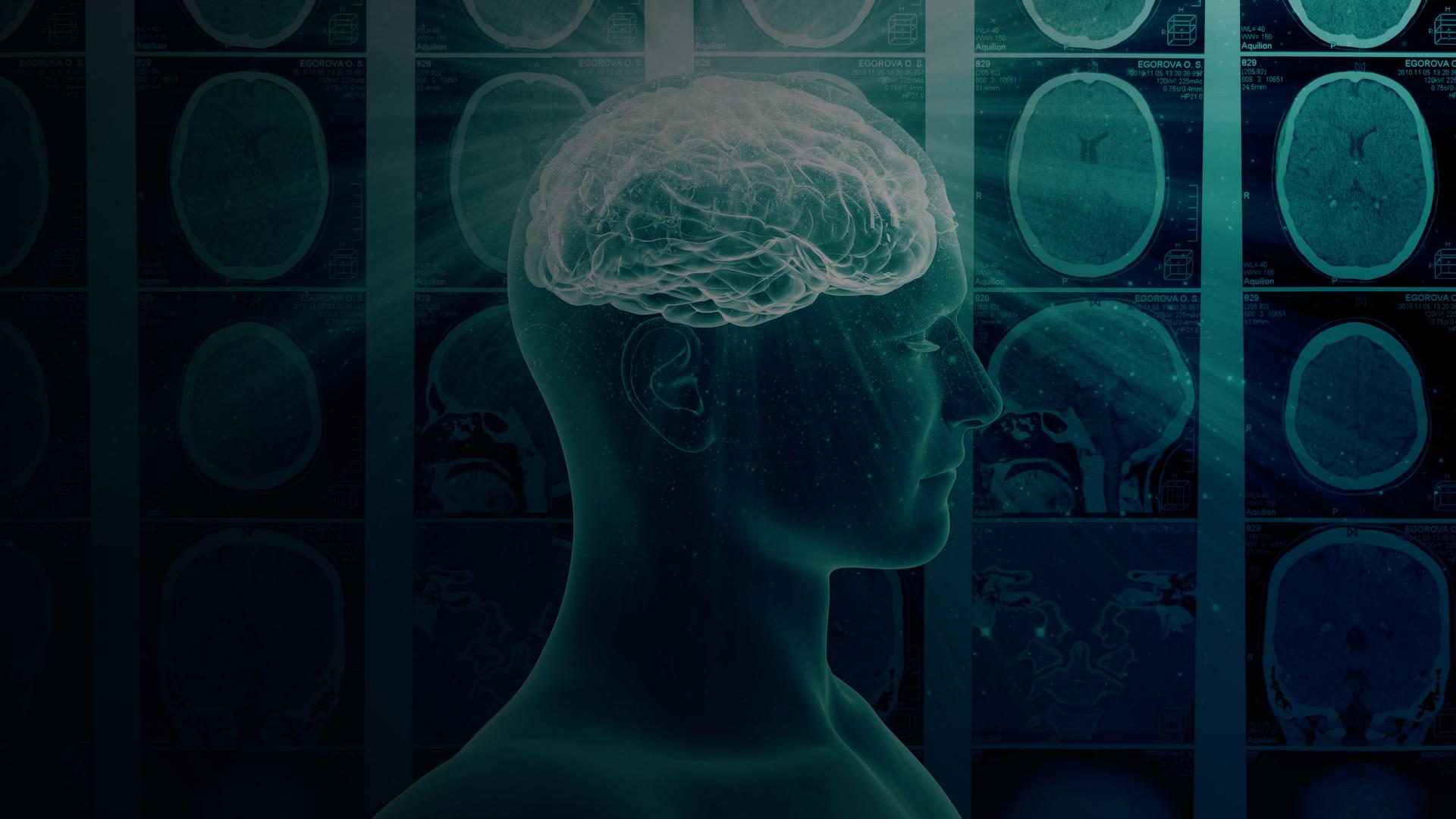 Redefining Brain Function Physicists Overturn Long - Gorgeous City Texture - Desktop