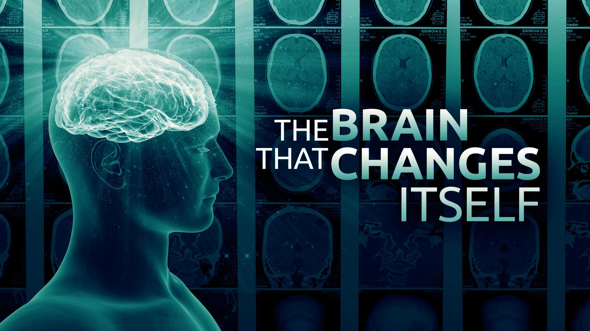 The Brain That Changes Itself - Desktop Geometric Designs for Desktop