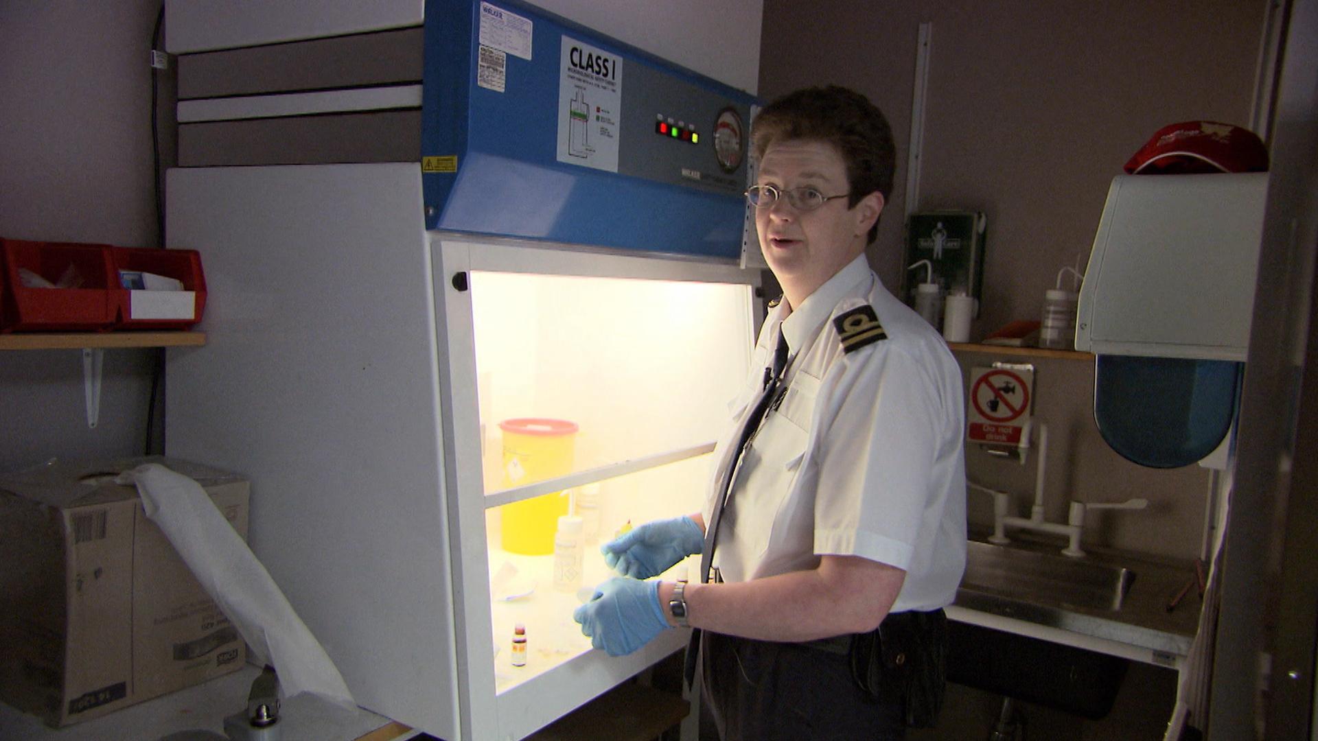 Customs Magellantv Documentaries - Creative Full HD Nature Patterns | Free Download